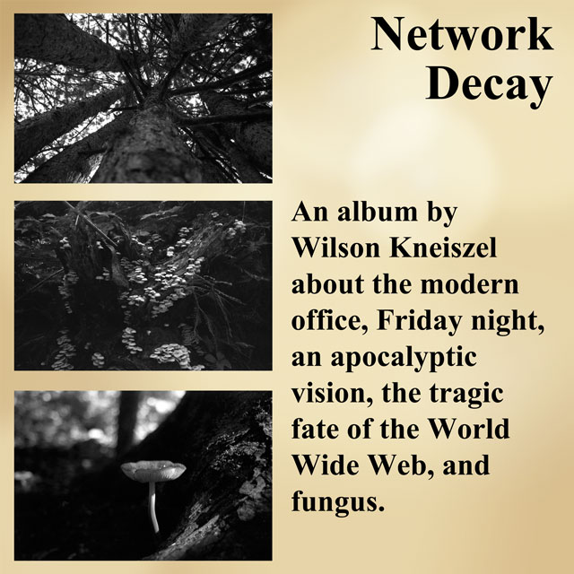 The cover to Network Decay