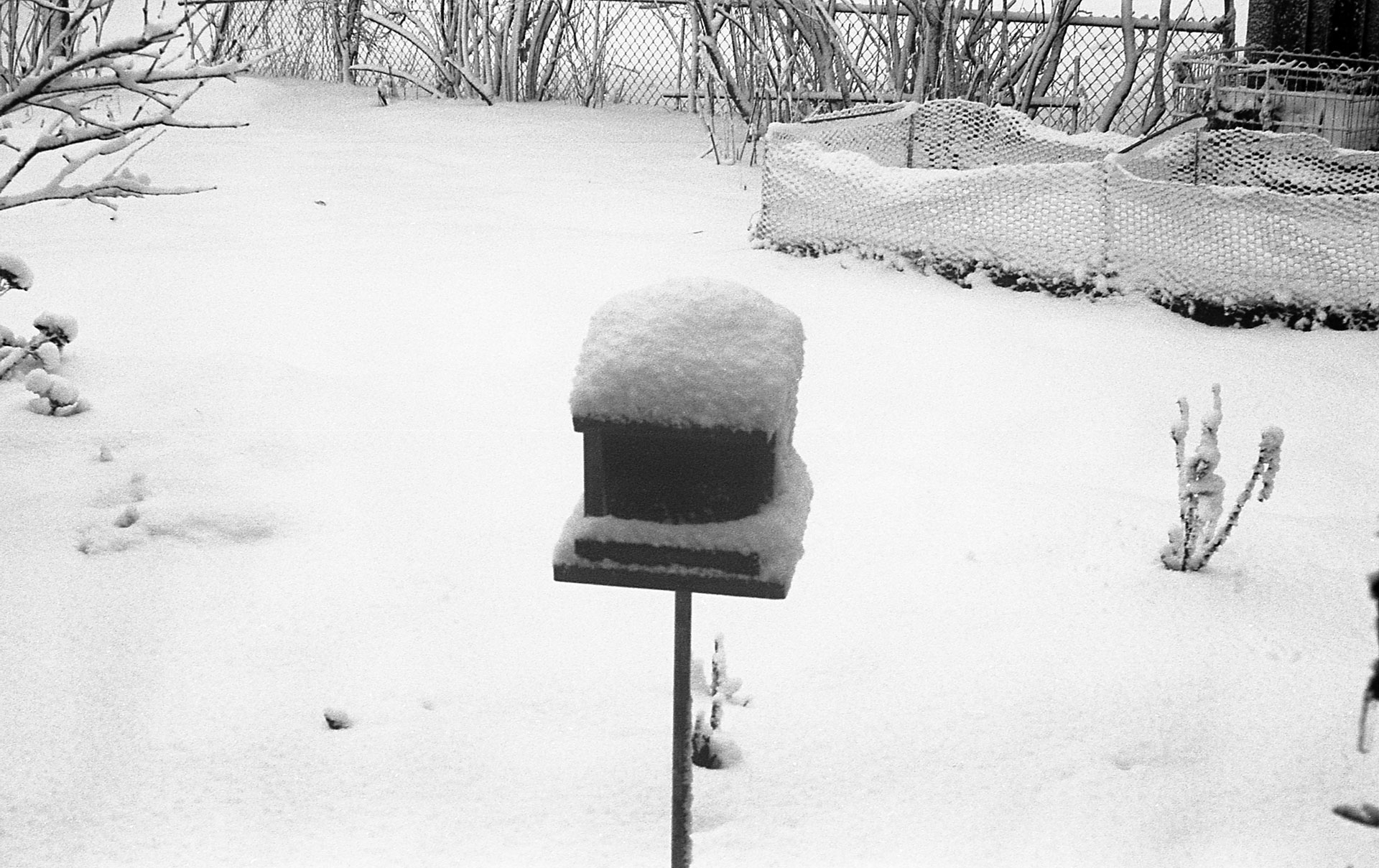 A bird feeder covered in snow