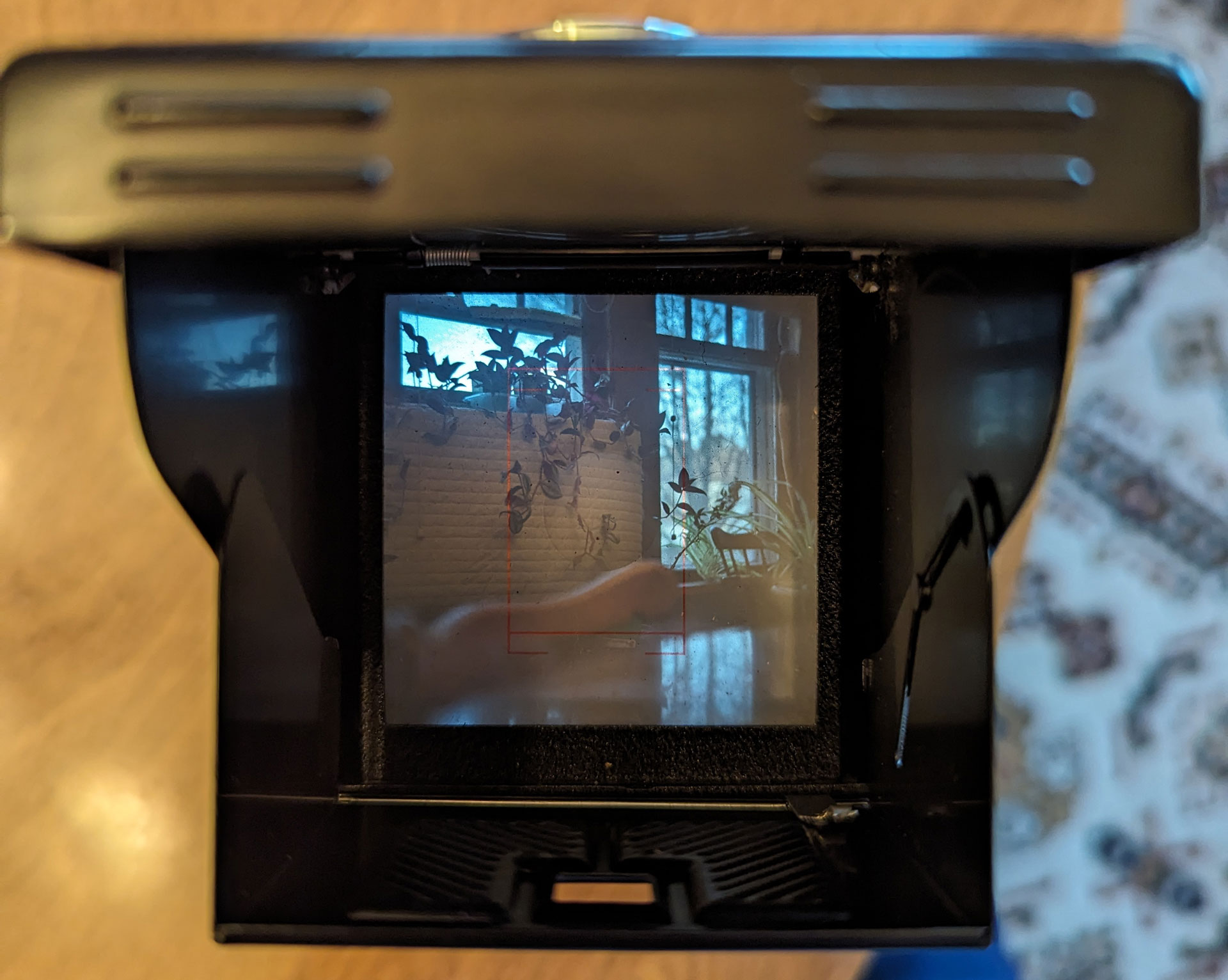 Looking through the viewfinder of the Yashica 635