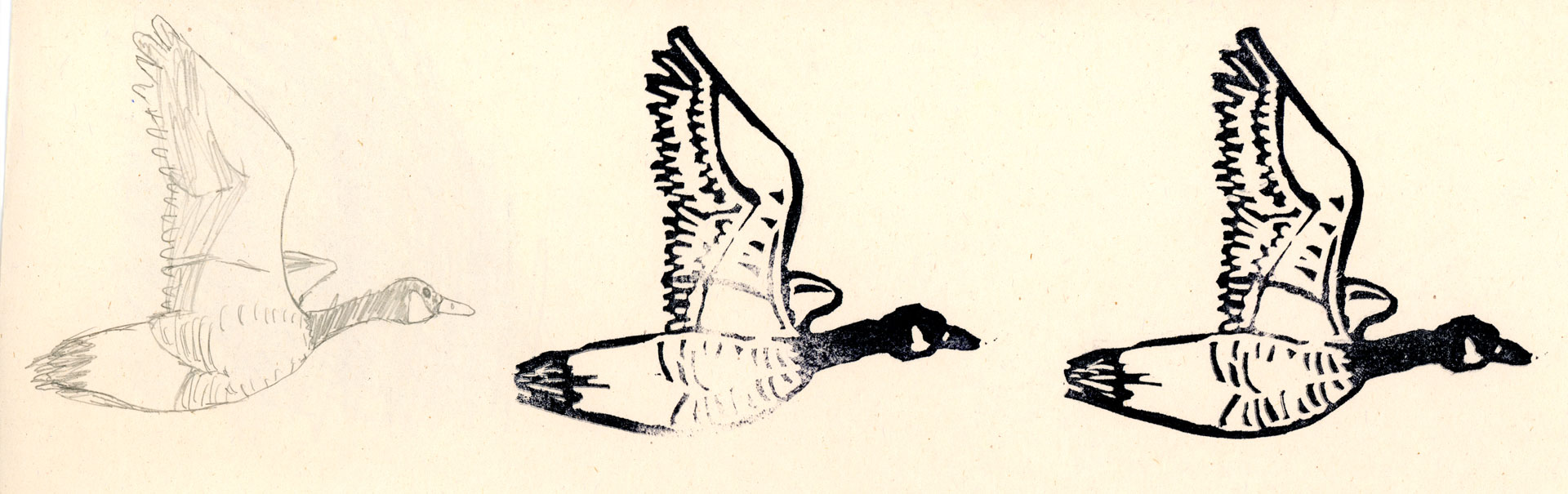 a stamp of a Canada goose